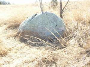 Norwood's boulder, Trotle Farm